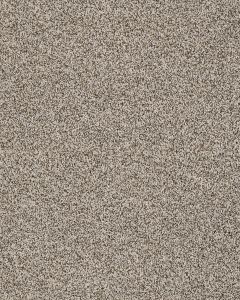 Artisan Elements Kashmere Nylon Textured Carpet