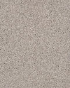 Lavish Attraction Textured Carpet