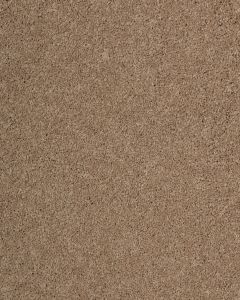 Maison Luxe Cafe Carpet