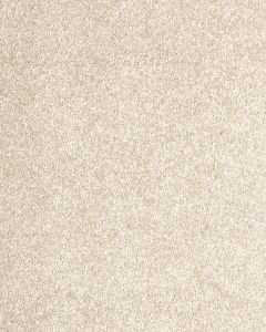 Maison Luxe Champaign Carpet