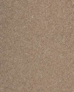 Maison Luxe Taupe Carpet