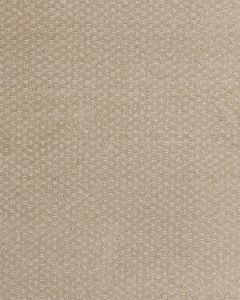 Greenwich Style Birch Carpet