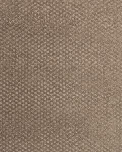 Greenwich Style Fox Carpet