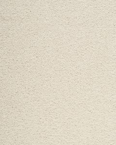 Delightful Intent SmartStrand 42oz Carpet