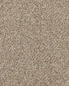 Revived Classic Textured 60oz SmartStrand Carpet