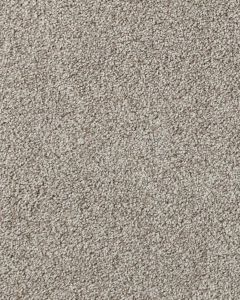 Salinas Valley I Textured 40oz SmartStrand Carpet