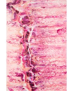 Kikiamo KK16 Flamingo Area Rug