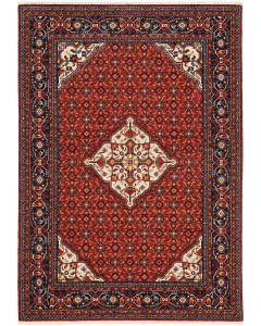 Lilihan 1c Red/Blue Area Rug