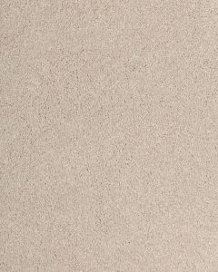 Luxuriant Feel Textured SmartStrand Carpet