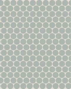 Marin Aloe Green Matte Porcelain 3/4" Penny Mosaic Tile