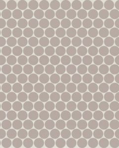Marin Coastal Cliff Matte Porcelain 3/4" Penny Mosaic Tile