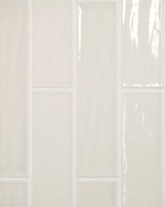 Marin Sand Dollar Glossy Glazed Ceramic 2.5"x10" Wall Tile