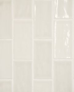 Marin Sand Dollar Glossy Glazed Ceramic 2.5"x5" Wall Tile