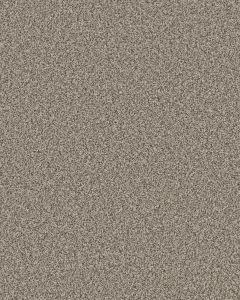 Mirador Textured 73oz Carpet