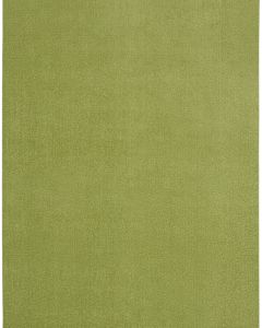 Nourison Essentials NRE01 Green Area Rug