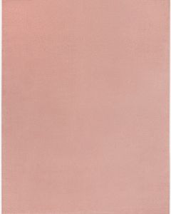Nourison Essentials NRE01 Pink Area Rug