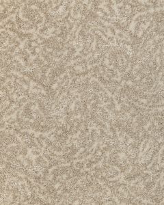 Pablo Patterned SmartStrand 45oz Carpet