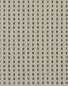 Topo Beach Patterned Kashmere 55oz Carpet