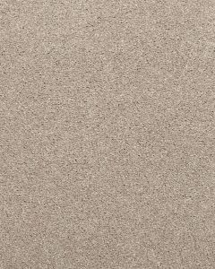 Willow Creek Textured SmartStrand 40oz Carpet