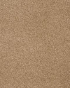 Opulent Tradition Acorn Cap Carpet