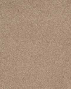 Opulent Tradition Cozy Corner Carpet