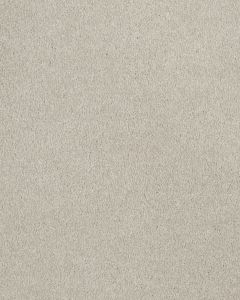 Opulent Tradition Manatee Carpet