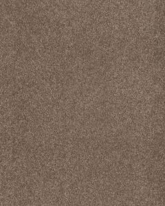 Opulent Tradition Retreat Carpet