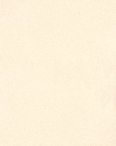 Opulent Tradition Sandcastle Carpet