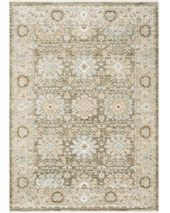Lola LLA03 Brown Area Rug