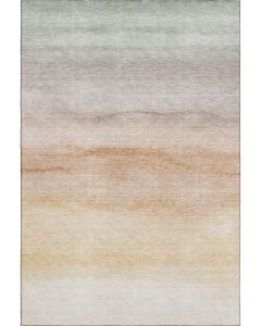 Pacifica PA8 Coral Area Rug