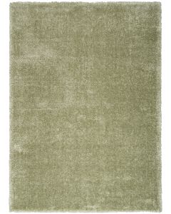 Pacific Shag PCS01 Green Area Rug