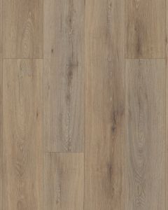 Paladin Plus Wild Dunes Luxury Vinyl