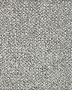 Pleasant Shades Kashmere Nylon Carpet