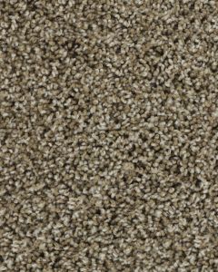 Posh Beauty Textured SmartStrand Carpet