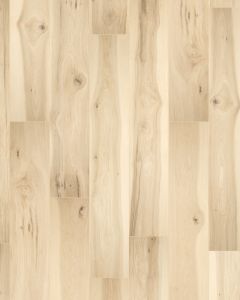 Pergo Elements Prestano Sugared Hickory 8" Laminate