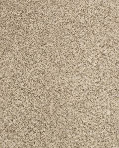 Purrsonality III Pet Friendly 75oz Carpet
