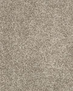 Purrsonality I Pet Friendly 48oz Carpet