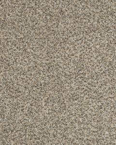 Raise The Woof I Pet Friendly 40oz Carpet