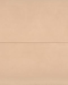 Sahara Rose Matte Glazed Porcelain 24"x48" Rectified Field Tile