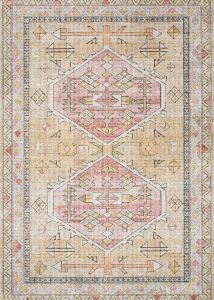 Skye SKY-04 Gold/Blush Area Rug