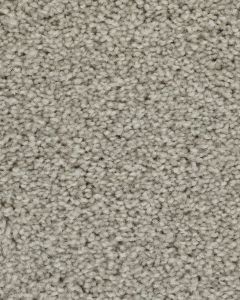 Superior Selection Ice Grey Carpet
