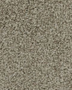 Superior Selection Stellar Carpet