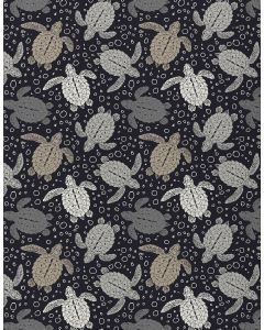 Seabreeze SZ13 Black Area Rug