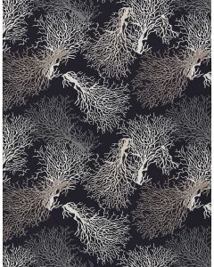 Seabreeze SZ3 Black Area Rug