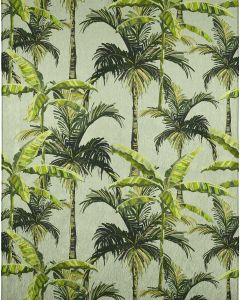 Tropics TC10 Aloe Area Rug