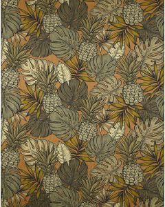 Tropics TC11 Clay Area Rug