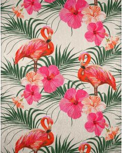 Tropics TC12 Ivory Area Rug