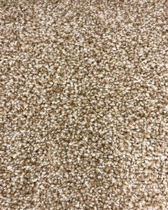 Tonal 60 Textured 58oz Carpet