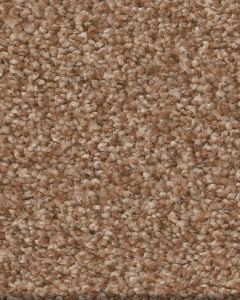 Tonal Comfort II Textured 53oz Nylon Carpet