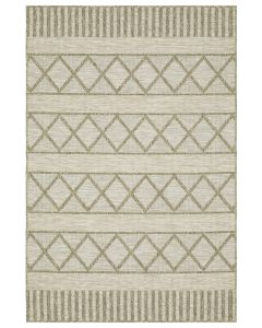 Tortuga tr11a Beige/Beige Area Rug